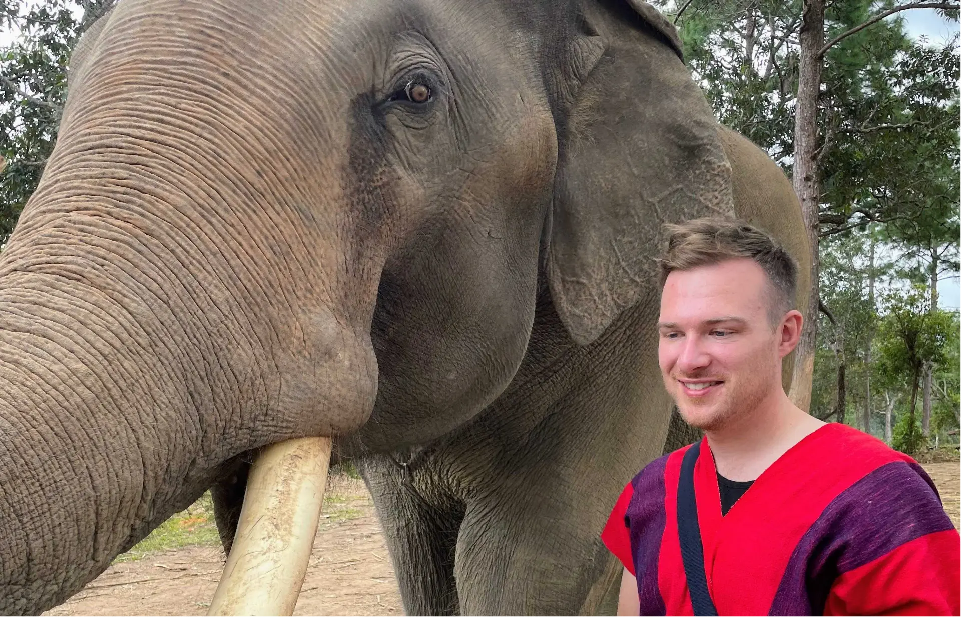 Dan stands next to an Elephant at Elephant Freedom Village in Chiang Mai, Thailand